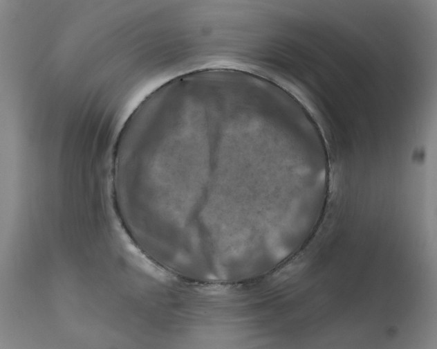 X0000112201048200909041312