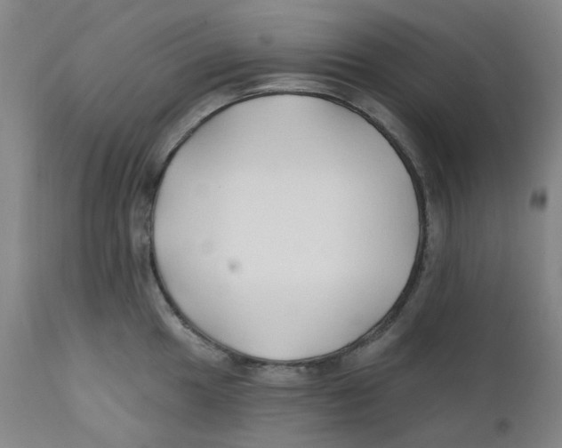 X0000112201049200909041312