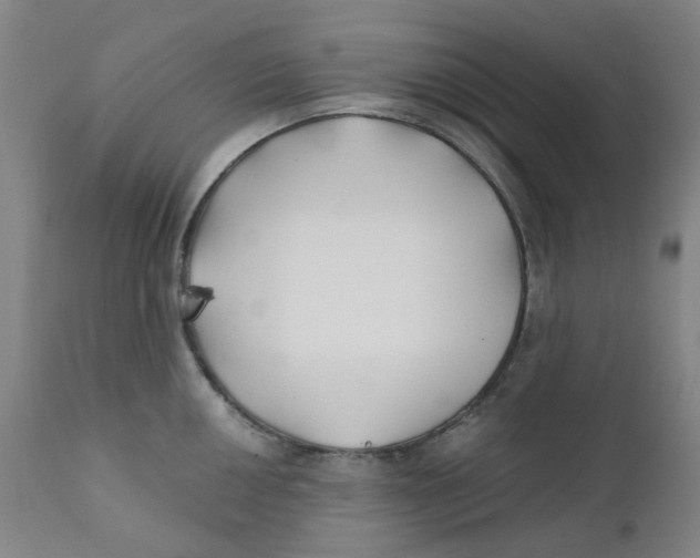 X0000112201050200909041313