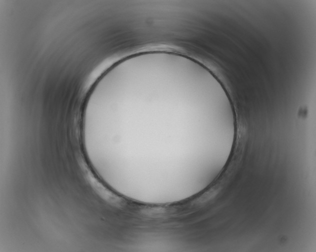 X0000112201054200909041313