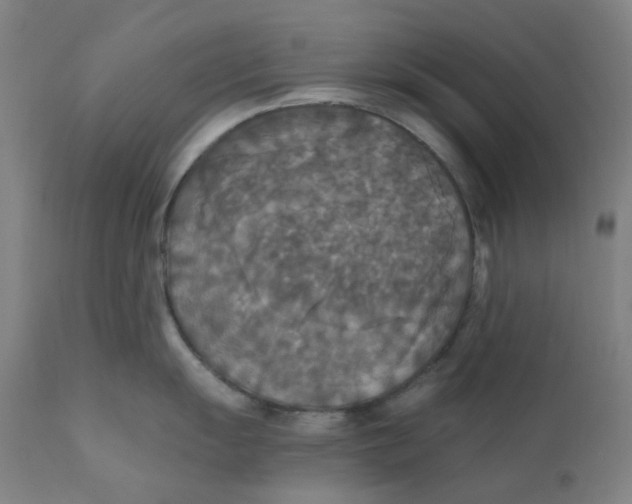 X0000112201055200909041313