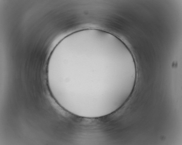 X0000112201056200909041313