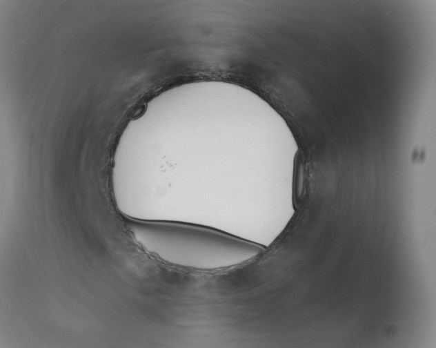 X0000112201057200909041312