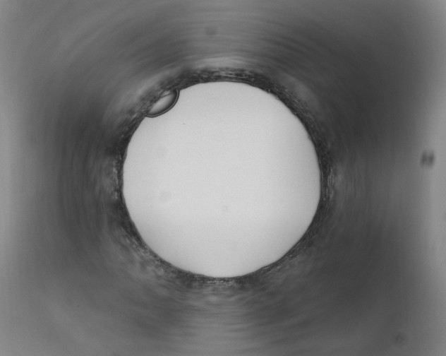 X0000112201062200909041312