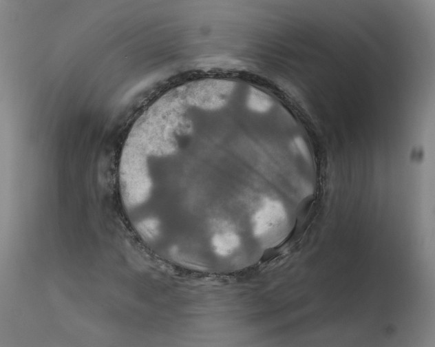 X0000112201063200909041312
