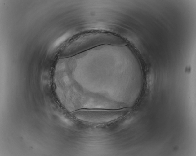 X0000112201064200909041312