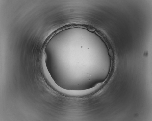 X0000112201065200909041312
