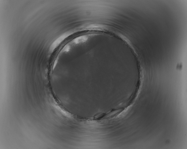 X0000112201066200909041312