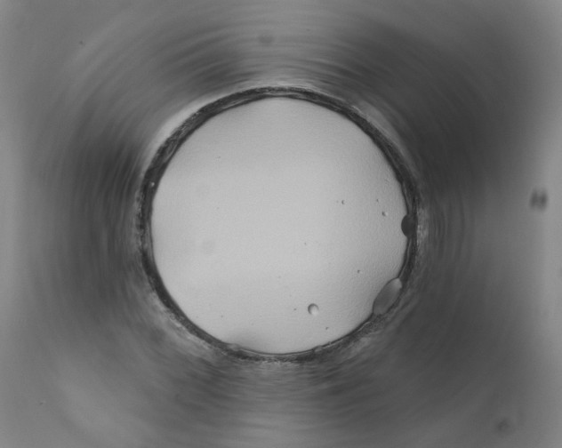 X0000112201068200909041311