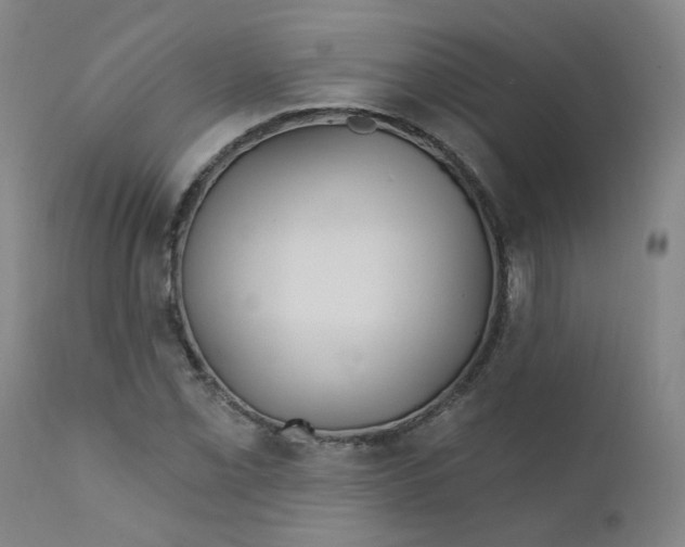 X0000112201069200909041311