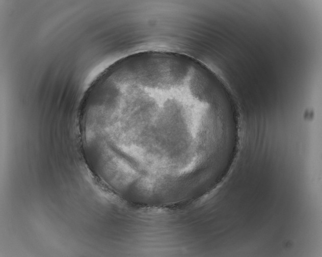 X0000112201070200909041311