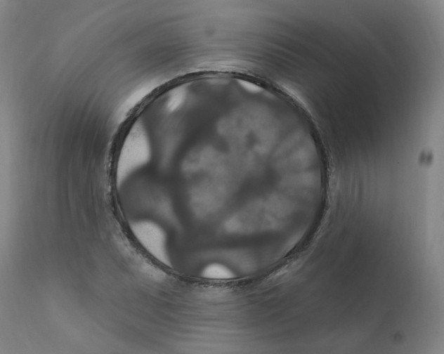 X0000112201071200909041311