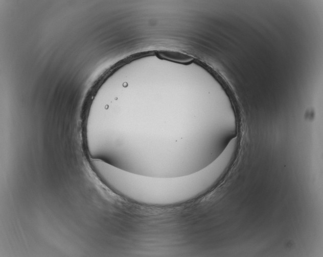 X0000112201072200909041311