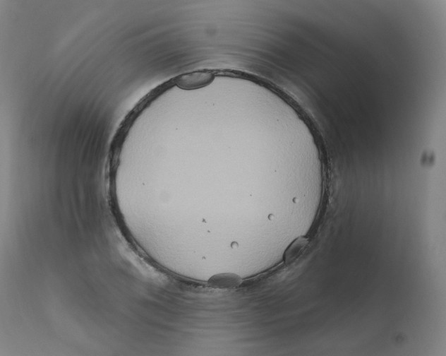 X0000112201076200909041311