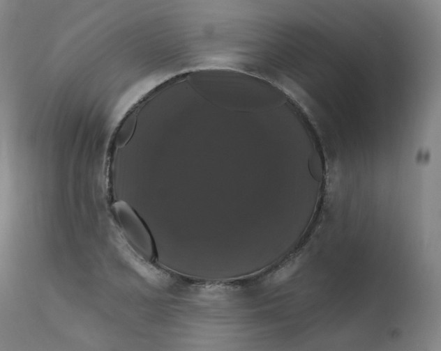 X0000112201077200909041311