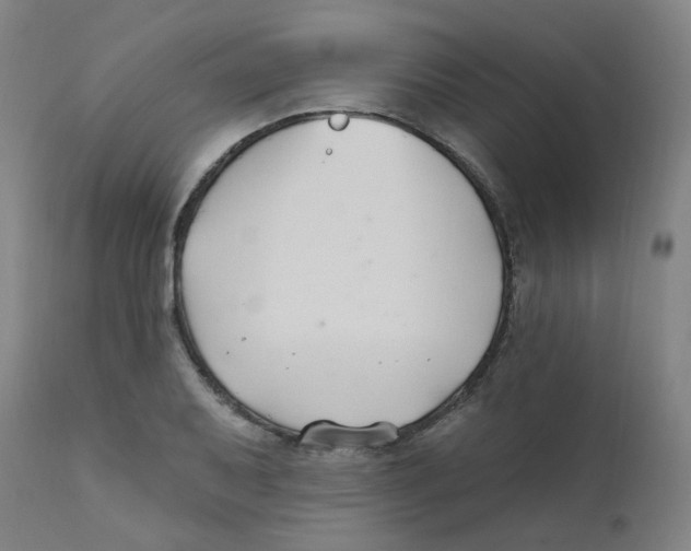 X0000112201079200909041311