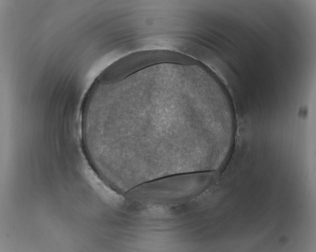 X0000112201080200909041311