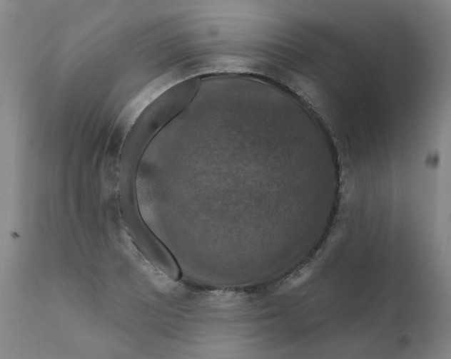 X0000112201081200909041311
