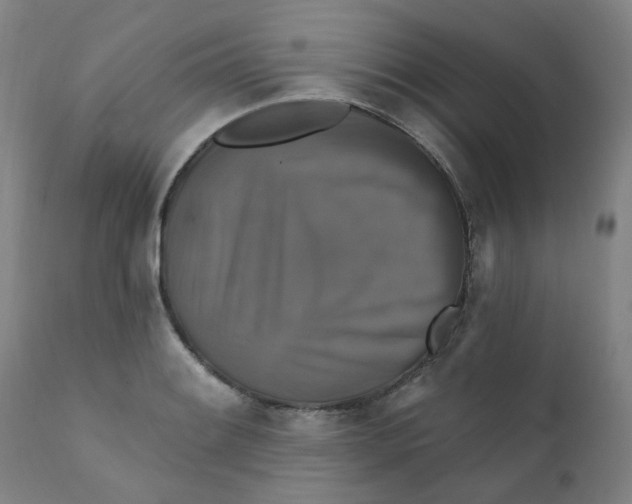 X0000112201084200909041311