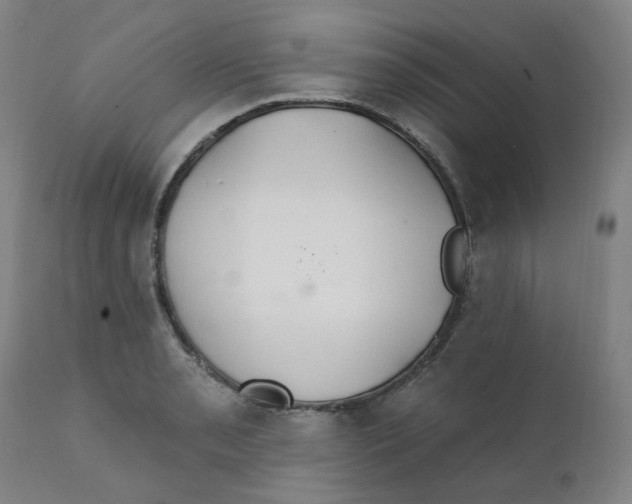 X0000112201085200909041311