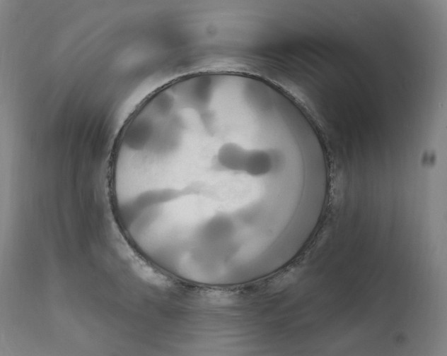 X0000112201086200909041311