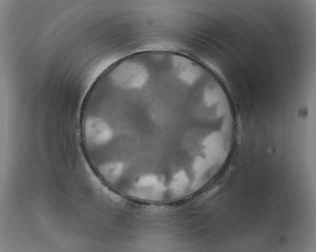 X0000112201087200909041311