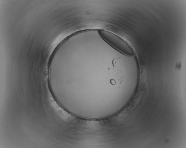 X0000112201088200909041311