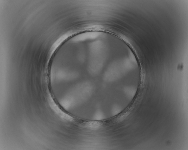 X0000112201090200909041311