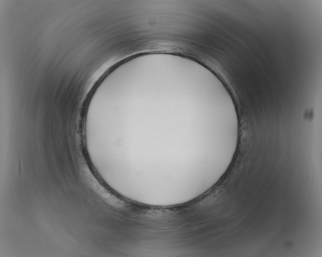 X0000112201091200909041311