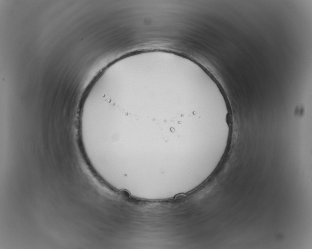 X0000112201093200909041311