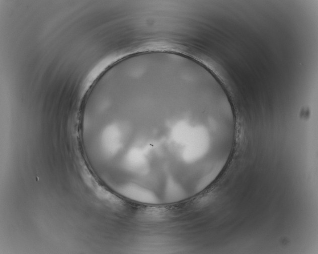 X0000112201094200909041311