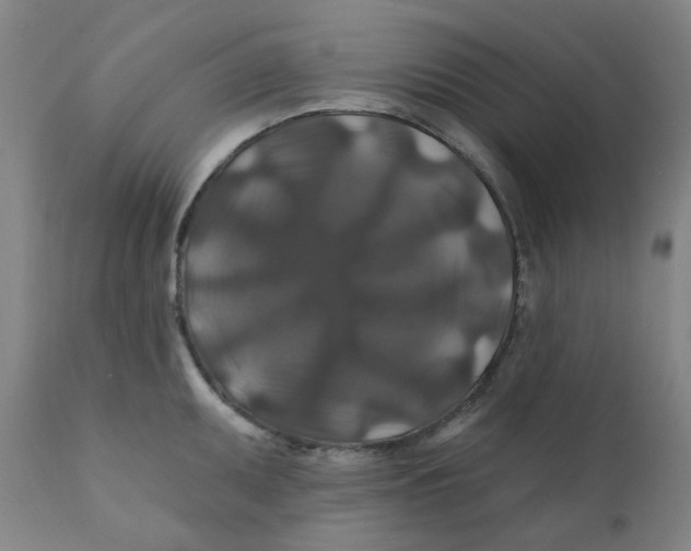 X0000112201095200909041311