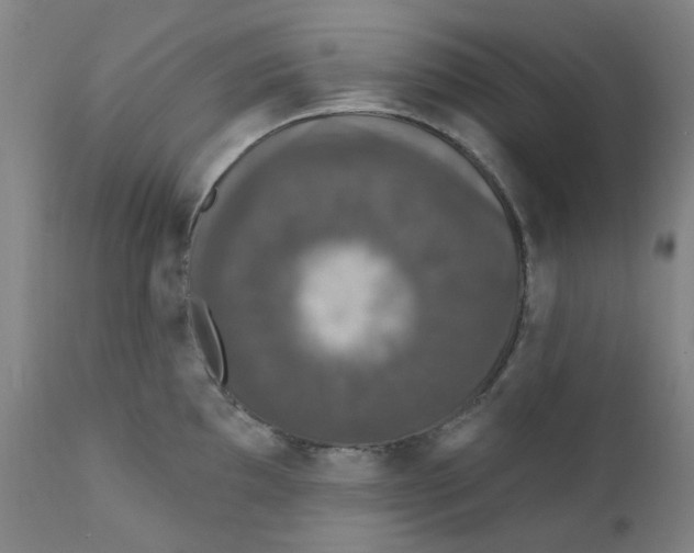 X0000112201097200909041311