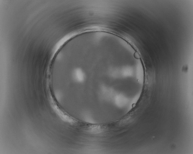 X0000112201098200909041311
