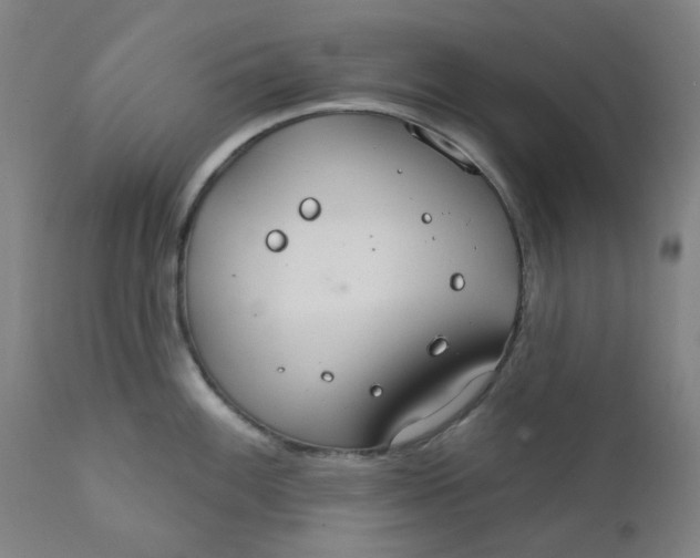 X0000112201100200909041311
