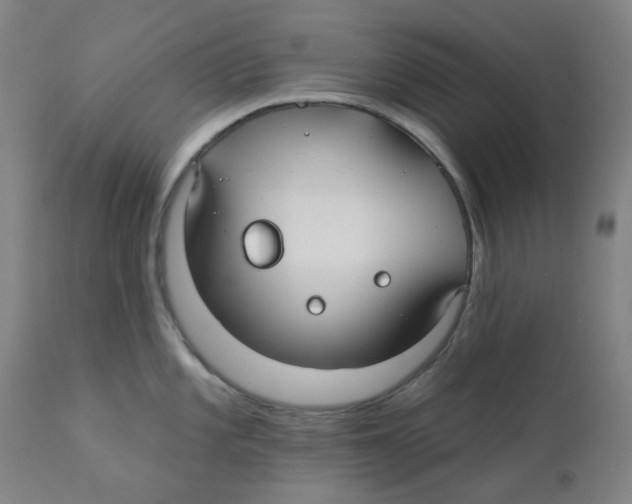 X0000112201101200909041311
