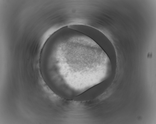 X0000112201104200909041311