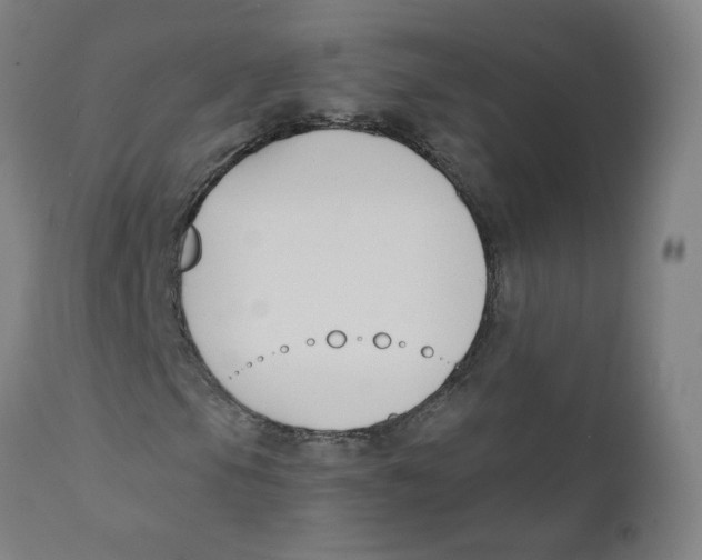 X0000112201105200909041310