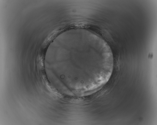 X0000112201106200909041310