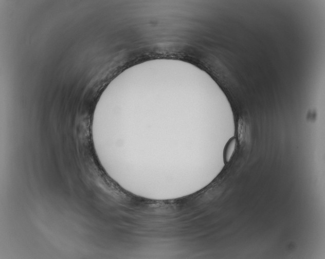 X0000112201107200909041310