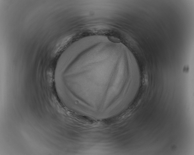 X0000112201108200909041310