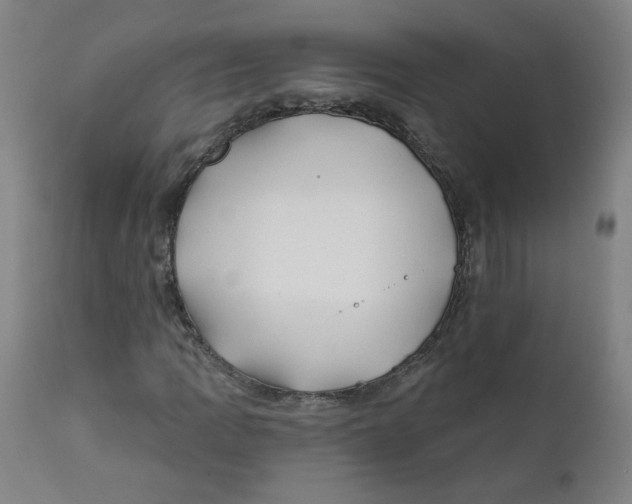 X0000112201109200909041310