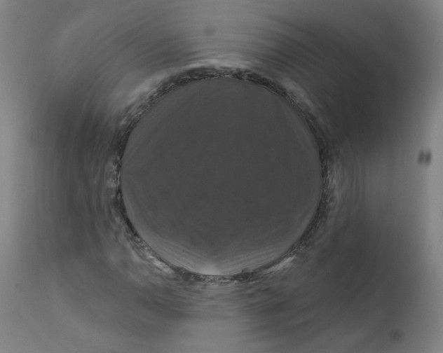 X0000112201110200909041310