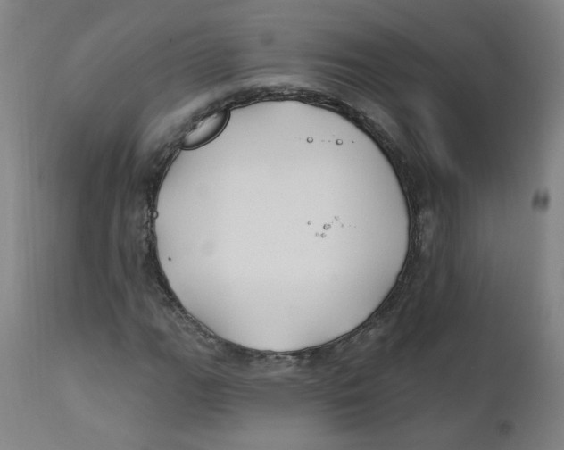 X0000112201111200909041310