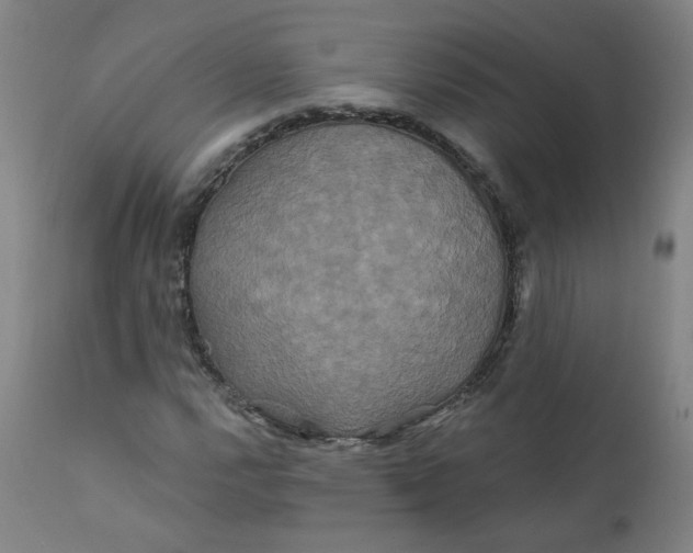 X0000112201112200909041310