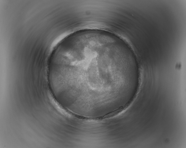 X0000112201114200909041310