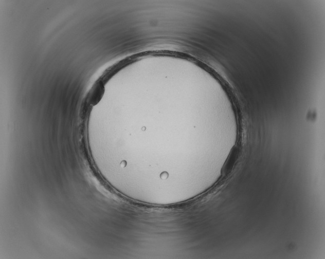 X0000112201116200909041310
