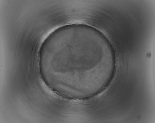 X0000112201118200909041310