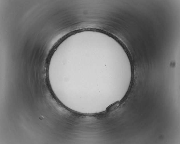 X0000112201119200909041310