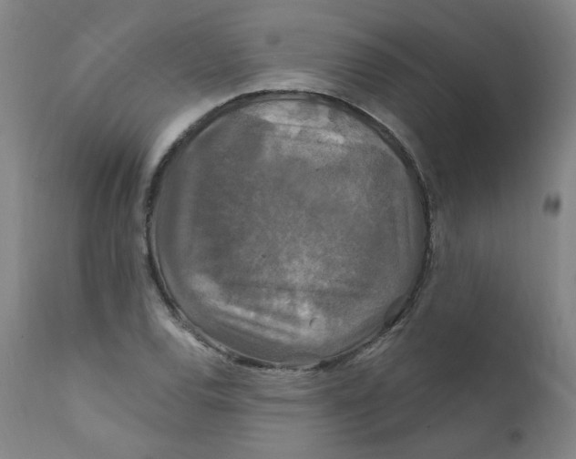 X0000112201120200909041310